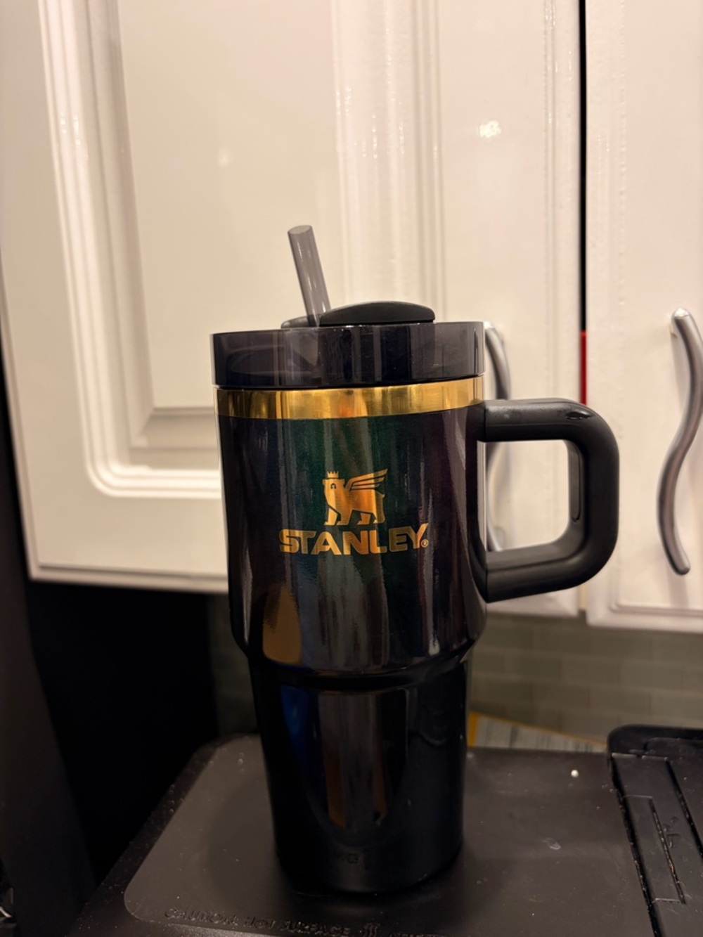 Stanley Wicked For Good 20 oz quencher